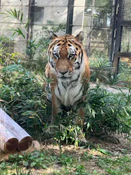 秋田市大森山動物園に投稿された画像（2026/9/19）
