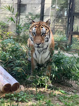 秋田市大森山動物園に投稿された画像（2026/9/19）