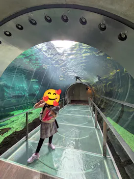 栃木県なかがわ水遊園に投稿された画像（2026/9/19）