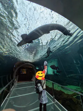 栃木県なかがわ水遊園に投稿された画像（2026/9/19）
