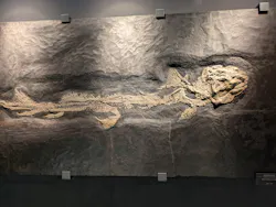 福井県立恐竜博物館に投稿された画像（2026/9/19）