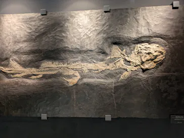 福井県立恐竜博物館に投稿された画像（2026/9/19）