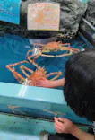 竹島水族館に投稿された画像（2026/9/19）