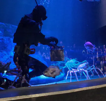 竹島水族館に投稿された画像（2026/9/19）