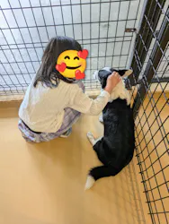 世界の名犬牧場に投稿された画像（2026/9/19）