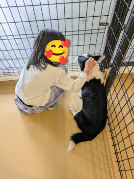 世界の名犬牧場に投稿された画像（2026/9/19）