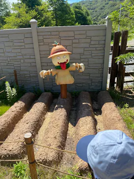 ニジゲンノモリに投稿された画像（2026/9/19）