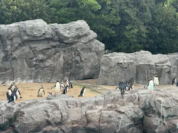 葛西臨海水族園に投稿された画像（2026/9/19）