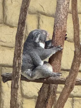 名古屋市東山動植物園に投稿された画像（2026/9/19）