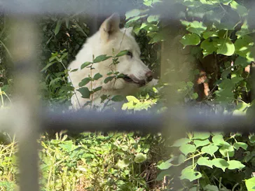 名古屋市東山動植物園に投稿された画像（2026/9/19）