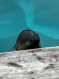 マリンワールド海の中道に投稿された画像（2026/9/19）
