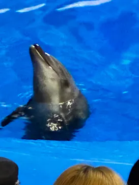 仙台うみの杜水族館に投稿された画像（2026/9/19）