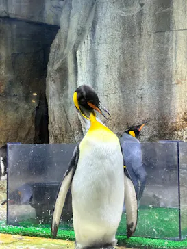 仙台うみの杜水族館に投稿された画像（2026/9/19）