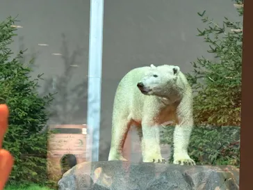 天王寺動物園に投稿された画像（2026/9/19）