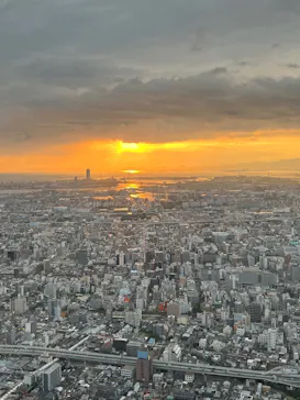 ハルカス300(展望台)に投稿された画像（2026/9/19）