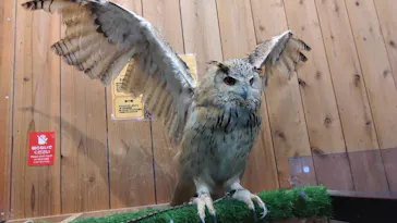 伊豆シャボテン動物公園に投稿された画像（2026/9/19）