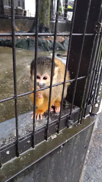 伊豆シャボテン動物公園に投稿された画像（2026/9/19）