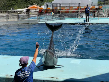 越前松島水族館に投稿された画像（2026/9/19）