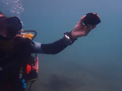 Aqua Vista Kushimotoに投稿された画像（2026/9/19）