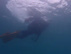Aqua Vista Kushimotoに投稿された画像（2026/9/19）
