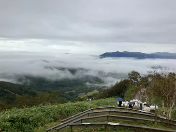 星野リゾート　トマムに投稿された画像（2026/9/19）
