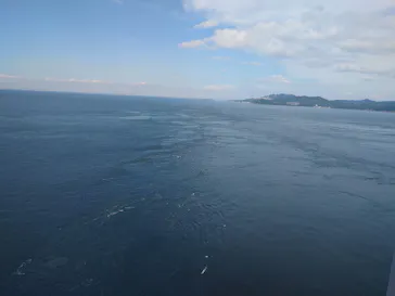 徳島県立 渦の道に投稿された画像（2026/9/19）
