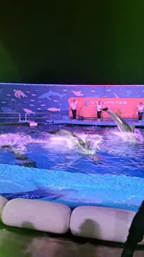 仙台うみの杜水族館に投稿された画像（2026/9/19）