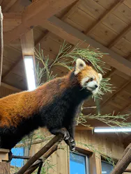 伊豆シャボテン動物公園に投稿された画像（2026/9/19）