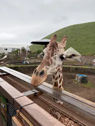 伊豆シャボテン動物公園に投稿された画像（2026/9/19）