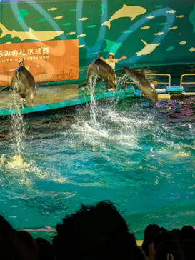 仙台うみの杜水族館に投稿された画像（2026/9/20）