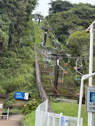 鳥羽湾めぐりとイルカ島に投稿された画像（2026/9/20）