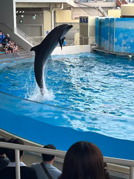 新江ノ島水族館に投稿された画像（2026/9/20）