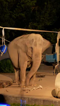 いしかわ動物園に投稿された画像（2026/9/20）