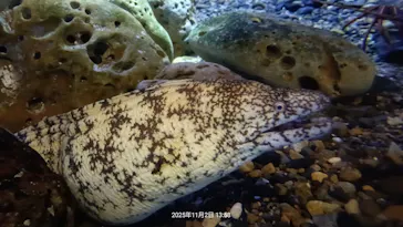 アクアワールド茨城県大洗水族館に投稿された画像（2026/9/20）