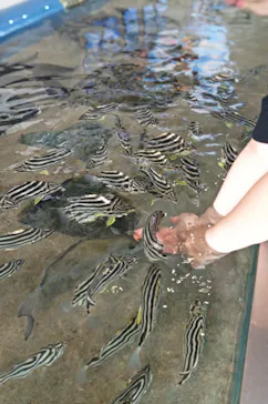 大分マリーンパレス水族館 「うみたまご」に投稿された画像（2026/9/20）
