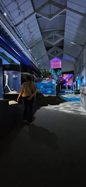 アクアワールド茨城県大洗水族館に投稿された画像（2026/9/20）