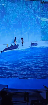 アクアワールド茨城県大洗水族館に投稿された画像（2026/9/20）