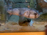九十九島水族館海きららに投稿された画像（2026/9/20）