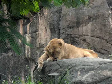 天王寺動物園に投稿された画像（2026/9/20）