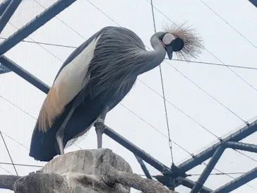 天王寺動物園に投稿された画像（2026/9/20）
