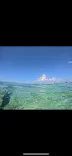 武藤潜水に投稿された画像（2026/9/20）