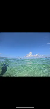武藤潜水に投稿された画像（2026/9/20）