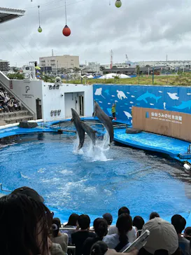 仙台うみの杜水族館に投稿された画像（2026/9/20）