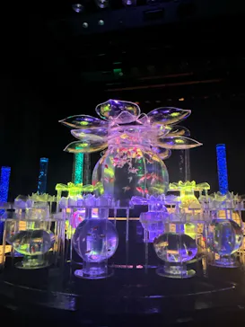 アートアクアリウム展 名古屋2026に投稿された画像（2026/9/20）