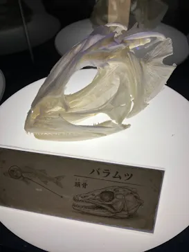 南知多ビーチランド＆南知多おもちゃ王国に投稿された画像（2026/9/20）