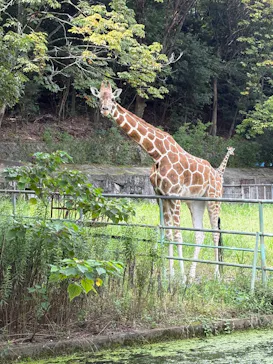 名古屋市東山動植物園に投稿された画像（2026/9/20）