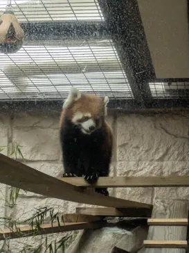 天王寺動物園に投稿された画像（2026/9/20）