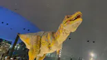 福井県立恐竜博物館に投稿された画像（2026/9/20）