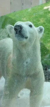 天王寺動物園に投稿された画像（2026/9/20）