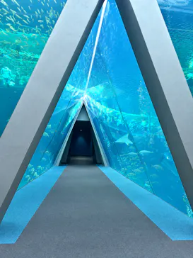 環境水族館アクアマリンふくしまに投稿された画像（2026/9/20）